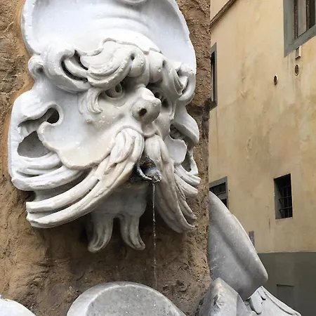 Domus 19 Pensión Florencia