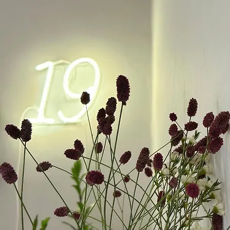 Domus 19