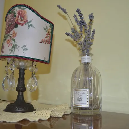 Guest house Domus 19 Florence