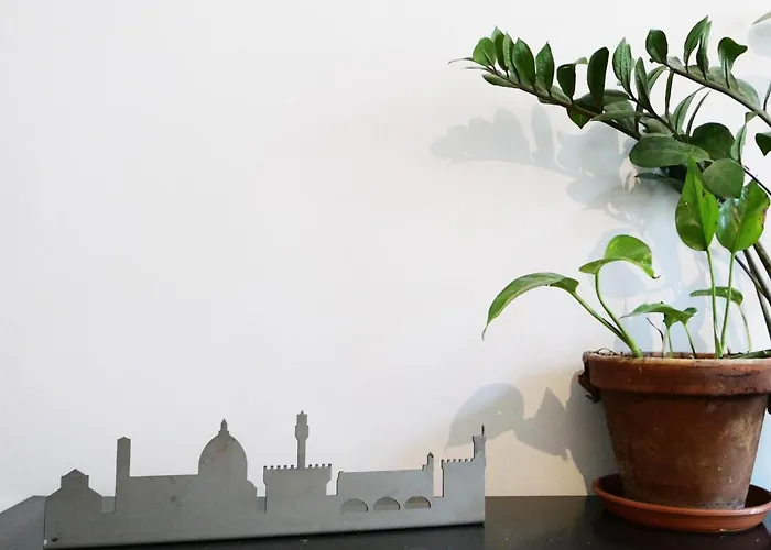 Domus 19 Firenze