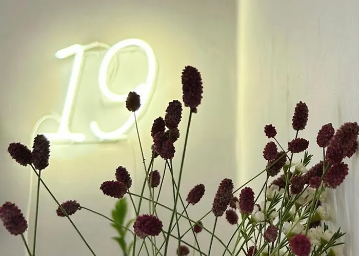 Domus 19